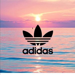 Meet your Posher, Maddie